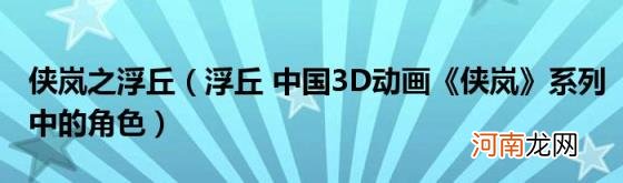 浮丘中国3D动画《侠岚》系列中的角色 侠岚之浮丘