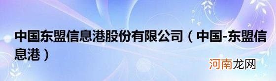 中国-东盟信息港 中国东盟信息港股份有限公司