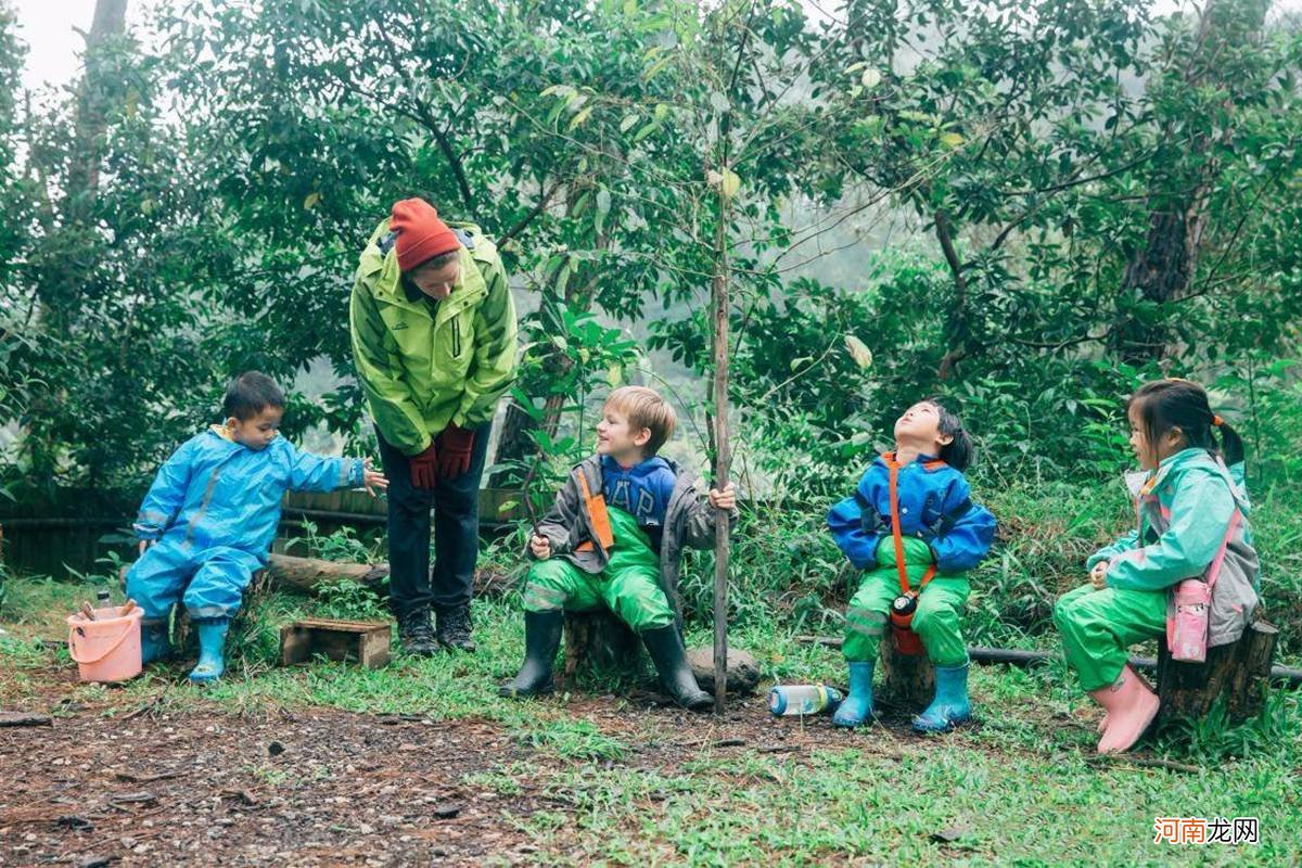 为什么要对孩子进行森林教育？孩子常与大自然接触对成长更有利