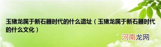 玉猪龙属于新石器时代的什么文化 玉猪龙属于新石器时代的什么遗址