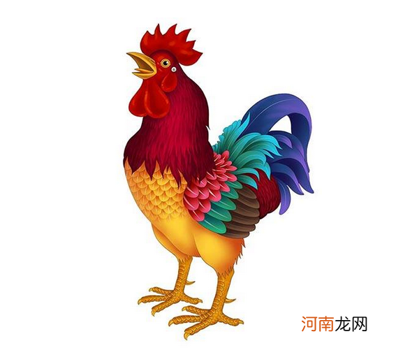 属鸡男运势 属鸡男运势最好的生肖年是什么