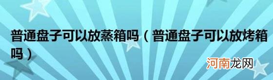 普通盘子可以放烤箱吗 普通盘子可以放蒸箱吗