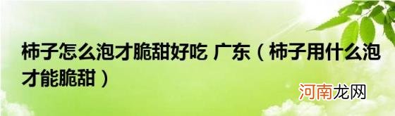 柿子用什么泡才能脆甜 柿子怎么泡才脆甜好吃广东