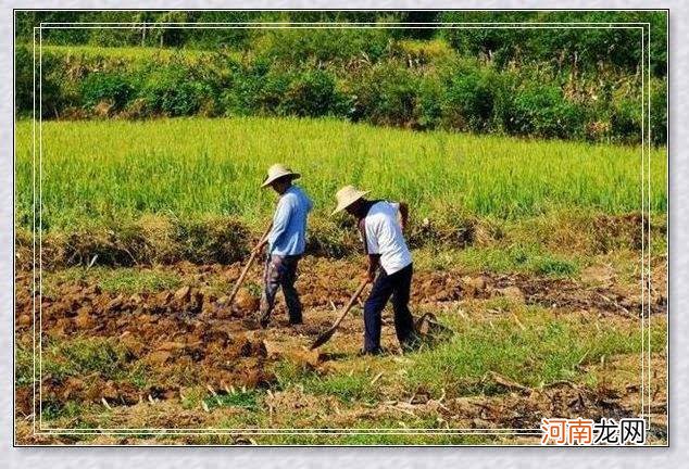 梦见自己怀孕了是什么意思呢 梦见自己怀孕了是什么意思呢女