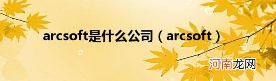 arcsoft arcsoft是什么公司