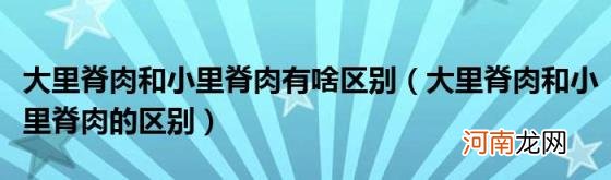 大里脊肉和小里脊肉的区别 大里脊肉和小里脊肉有啥区别