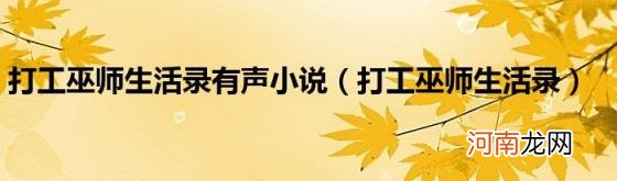 打工巫师生活录 打工巫师生活录有声小说