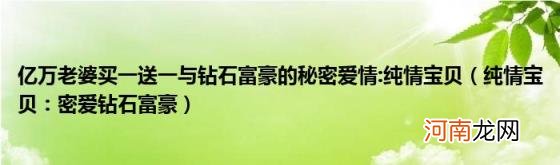 纯情宝贝：密爱钻石富豪 亿万老婆买一送一与钻石富豪的秘密爱情:纯情宝贝