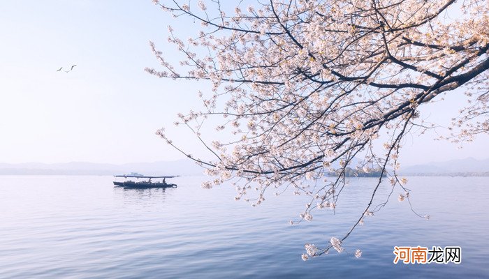 北京哪里可以看樱花 北京哪里有樱花