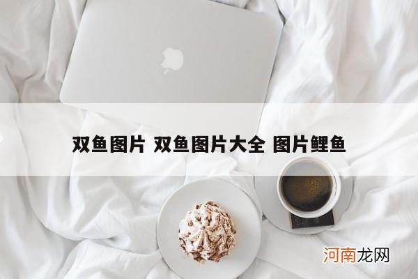 双鱼图片 双鱼图片大全 图片鲤鱼