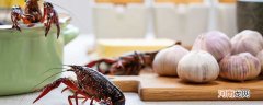 龙虾的特点 龙虾的基本特点是什么