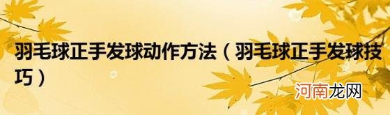 羽毛球正手发球技巧 羽毛球正手发球动作方法