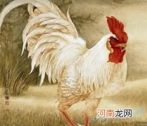 鸡每月运势 2017年鸡运势