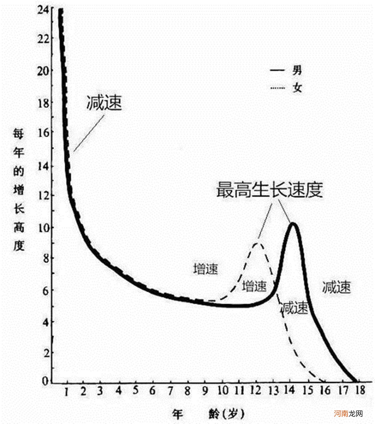 中国19岁青年平均身高“东亚第一”？00后身高“猛涨”背后有奥秘