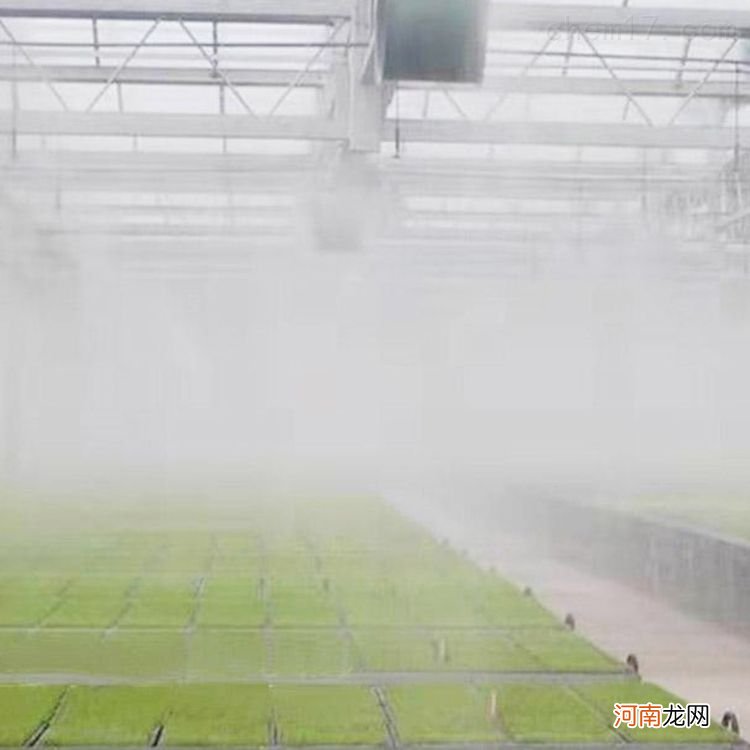 大足种植大棚喷雾加湿系统设备有哪些 大足种植大棚喷雾加湿系统设备