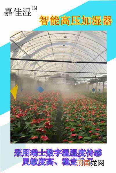 大足种植大棚喷雾加湿系统设备有哪些 大足种植大棚喷雾加湿系统设备