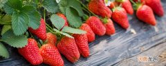 冻草莓可以存放多久 草莓冰冻能放多久