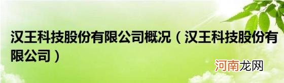 汉王科技股份有限公司 汉王科技股份有限公司概况