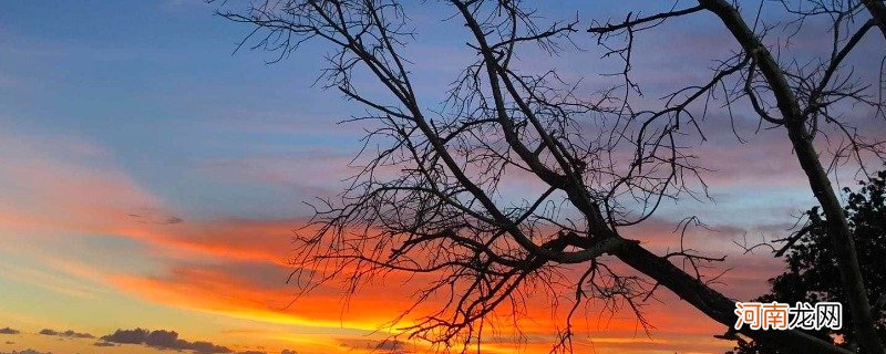 曾经沧海难为水是哪位诗人的名句 曾经沧海难为水出自哪首诗