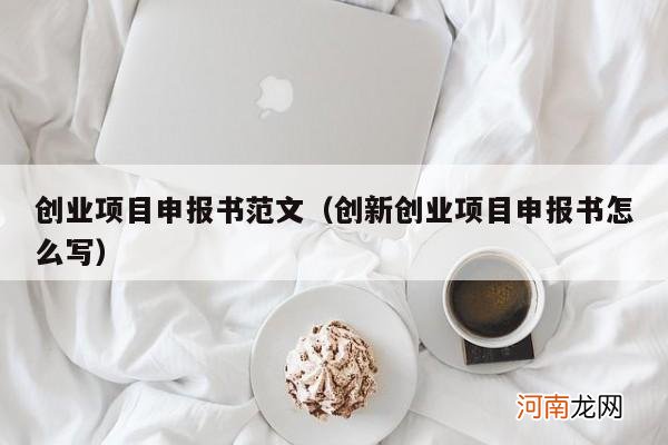 创新创业项目申报书怎么写 创业项目申报书范文