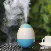 喷雾加湿对茶叶发酵有利吗视频 喷雾加湿对茶叶发酵有利吗