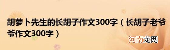 长胡子老爷爷作文300字 胡萝卜先生的长胡子作文300字