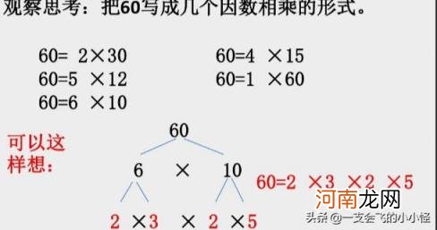 求最小公倍数 怎样求几个数的最小公倍数？