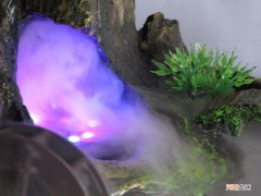 喷泉喷雾效果图片 喷雾加湿喷泉