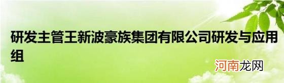 研发主管王新波豪族集团有限公司研发与应用组