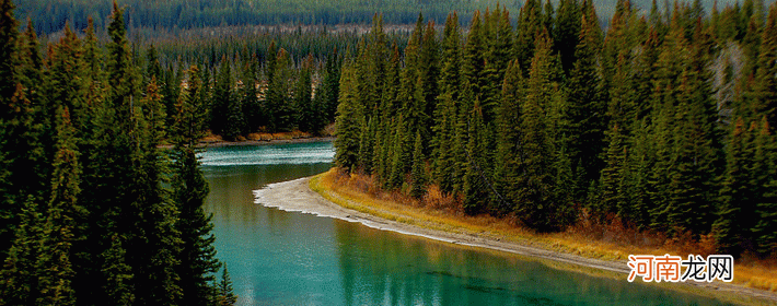 天坪座运势 天秤座的女生命运好吗