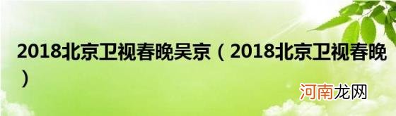 2018北京卫视春晚 2018北京卫视春晚吴京