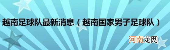 越南国家男子足球队 越南足球队最新消息