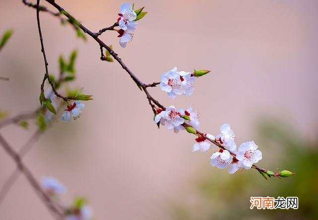 闰九月运势 星座九月份运势