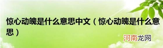 惊心动魄是什么意思 惊心动魄是什么意思中文