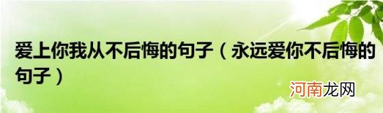 永远爱你不后悔的句子 爱上你我从不后悔的句子