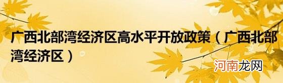 广西北部湾经济区 广西北部湾经济区高水平开放政策