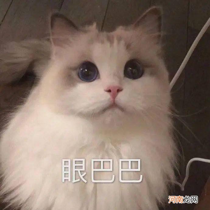 千万！不要小看钢铁直男…猛男的爱情太让人心动了！