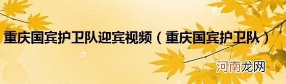 重庆国宾护卫队 重庆国宾护卫队迎宾视频