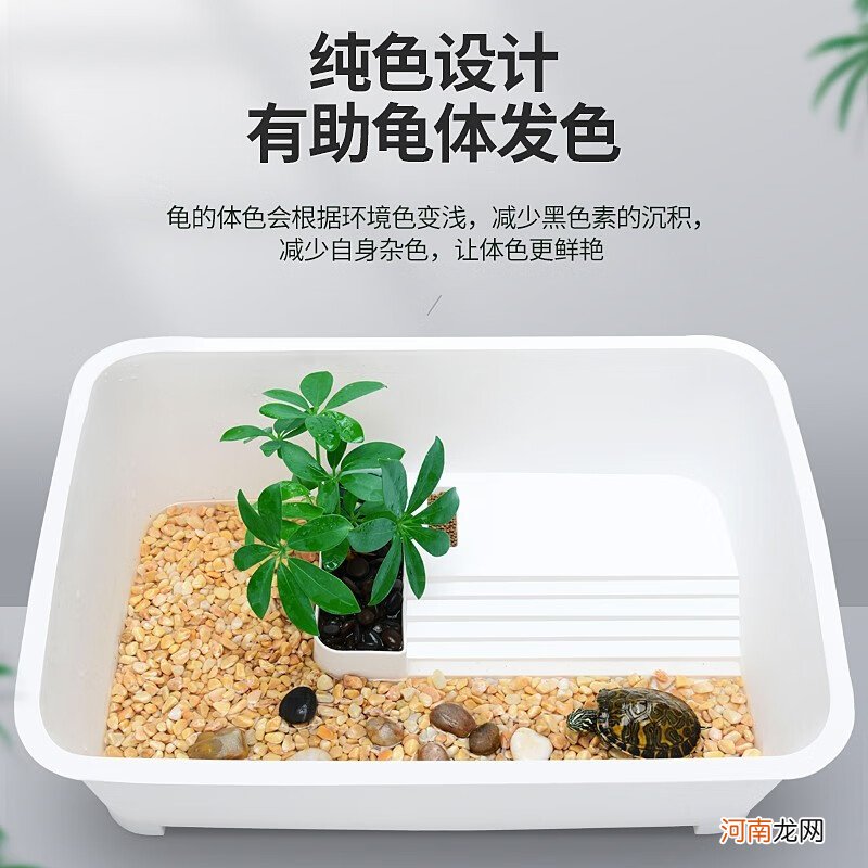 雾化加湿器能放在鱼缸里用吗 龟箱能用喷雾器加湿吗