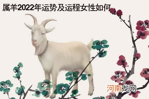 属羊流年运势 属羊流年运势2022