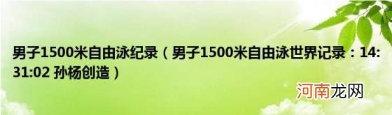 男子1500米自由泳世界记录：14:31:02孙杨创造 男子1500米自由泳纪录