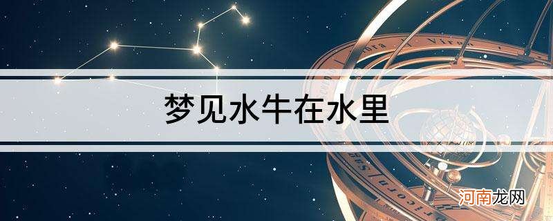 解梦公水牛 梦见公水牛是什么意思有什么预兆