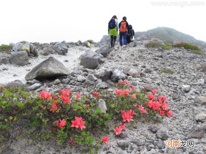 周公解梦爬山 周公解梦爬山坡到顶了