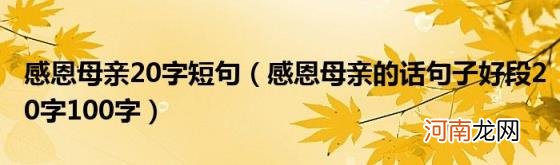 感恩母亲的话句子好段20字100字 感恩母亲20字短句