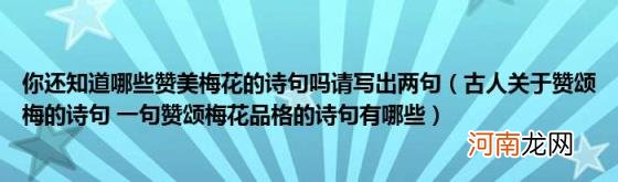 古人关于赞颂梅的诗句一句赞颂梅花品格的诗句有哪些 你还知道哪些赞美梅花的诗句吗请写出两句