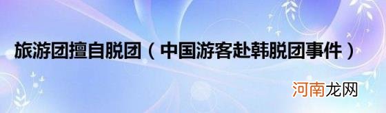 中国游客赴韩脱团事件 旅游团擅自脱团