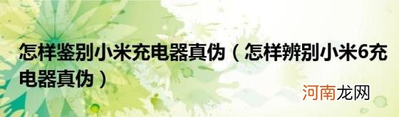 怎样辨别小米6充电器真伪 怎样鉴别小米充电器真伪