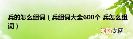 兵组词大全600个兵怎么组词 兵的怎么组词