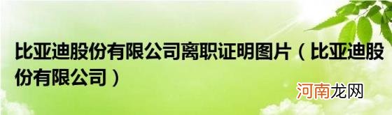 比亚迪股份有限公司 比亚迪股份有限公司离职证明图片