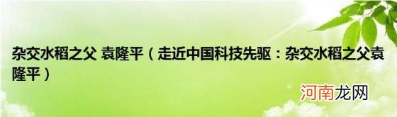 走近中国科技先驱：杂交水稻之父袁隆平 杂交水稻之父袁隆平